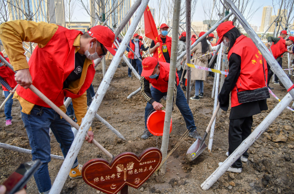 1619072711399605.png 1619072711399605.png